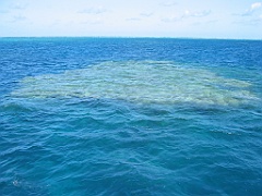 072 Great Barrier Reef